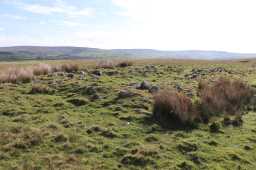 Carley Green House looking NE 10/5/2019